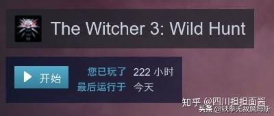 在哪能看巫师(在哪能看肇事逃逸判决文书)