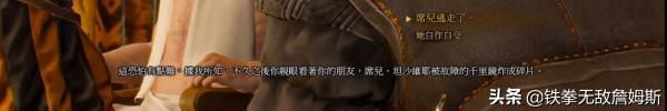 在哪能看巫师(在哪能看肇事逃逸判决文书)