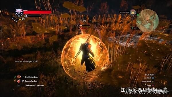 在哪能看巫师(在哪能看肇事逃逸判决文书)