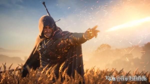 在哪能看巫师(在哪能看肇事逃逸判决文书)