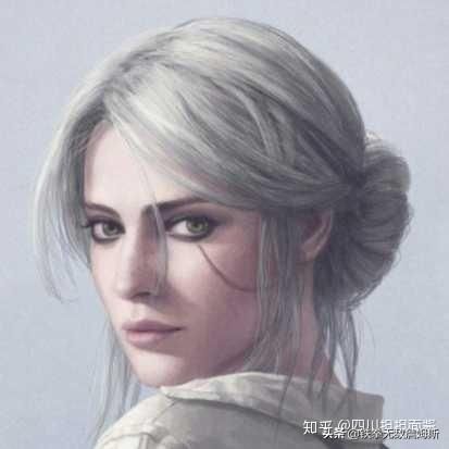 在哪能看巫师(在哪能看肇事逃逸判决文书)
