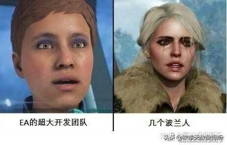 在哪能看巫师(在哪能看肇事逃逸判决文书)