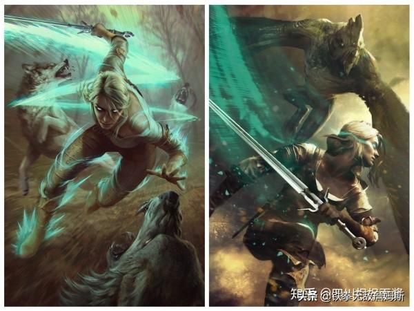 在哪能看巫师(在哪能看肇事逃逸判决文书)