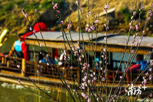 南溪在哪里(福建南溪在哪里)