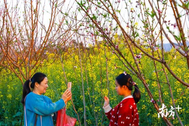 南溪在哪里(福建南溪在哪里)