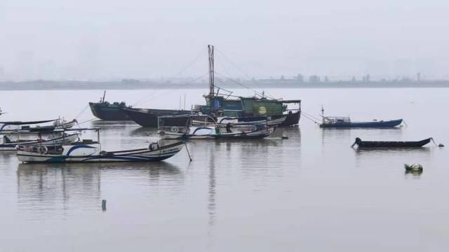 鳗鱼在哪里买(鳗鱼在哪钓)