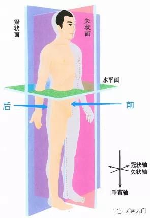 子宫部位在哪里(子宫部位图解)