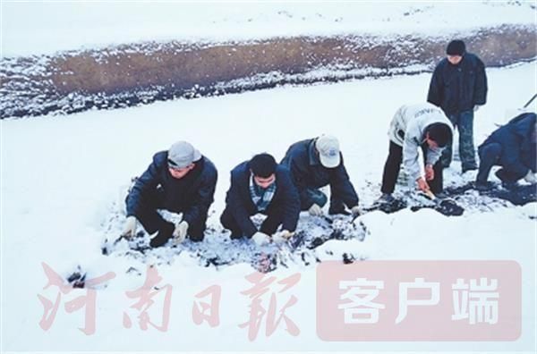 曲阜苹果专卖店在哪里(曲阜京东家电专卖店在哪里)
