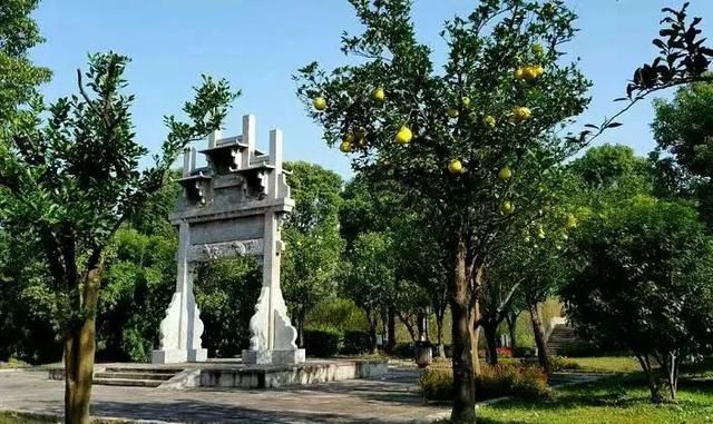上海闻道园在哪儿(上海闻道园门票老人免票吗)