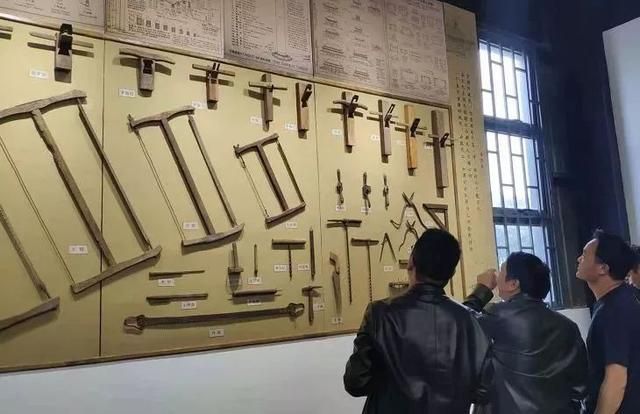 上海闻道园在哪儿(上海闻道园门票老人免票吗)