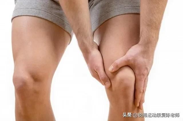 髋在哪(髋在哪个部位图片)