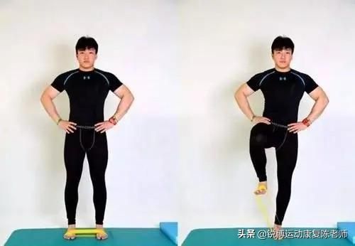 髋在哪(髋在哪个部位图片)