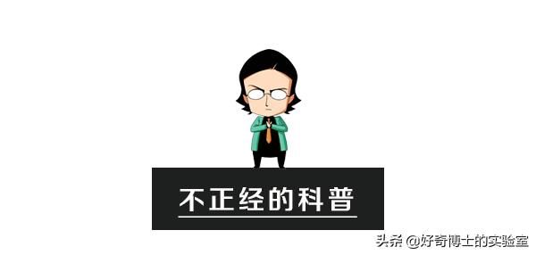 男生阴囊在哪(阴囊在哪位置)