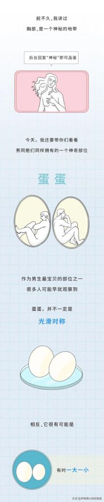 男生阴囊在哪(阴囊在哪位置)