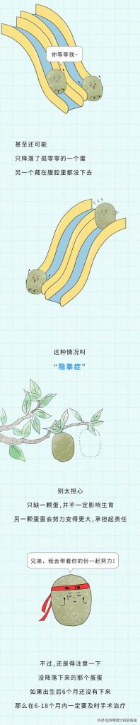 男生阴囊在哪(阴囊在哪位置)