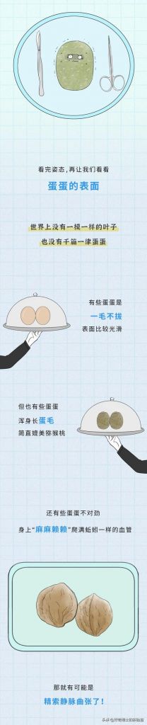 男生阴囊在哪(阴囊在哪位置)