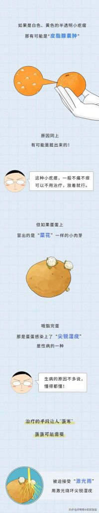 男生阴囊在哪(阴囊在哪位置)