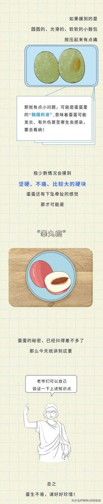 男生阴囊在哪(阴囊在哪位置)