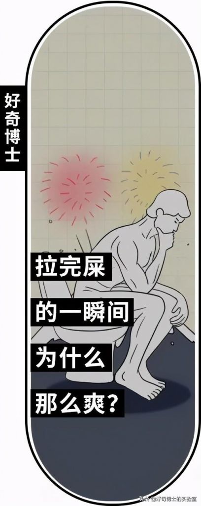 男生阴囊在哪(阴囊在哪位置)