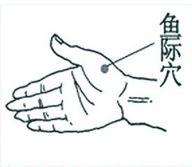压少商在哪里(少商学位在哪里)