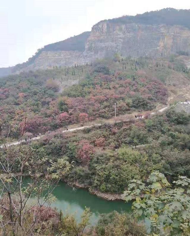 长寿山在哪(长寿山在哪里)