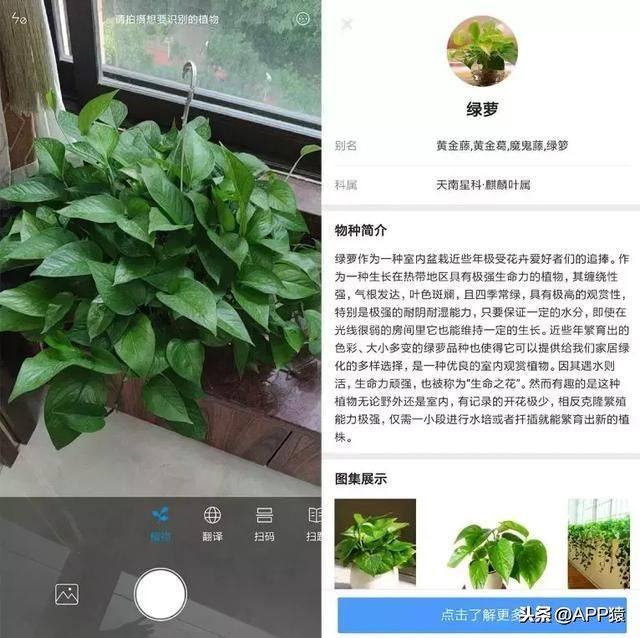 小米扫一扫解题在哪里(小米wifi扫一扫在哪里)