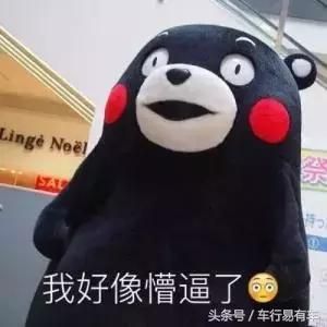 308空调滤芯在哪里(老款308空调滤芯在哪里)
