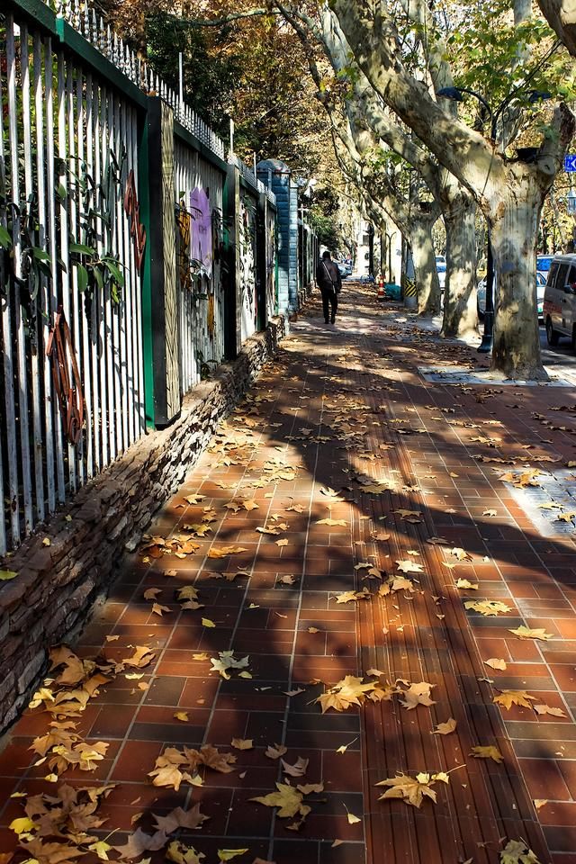 衡山路在哪(衡山路8号项目)