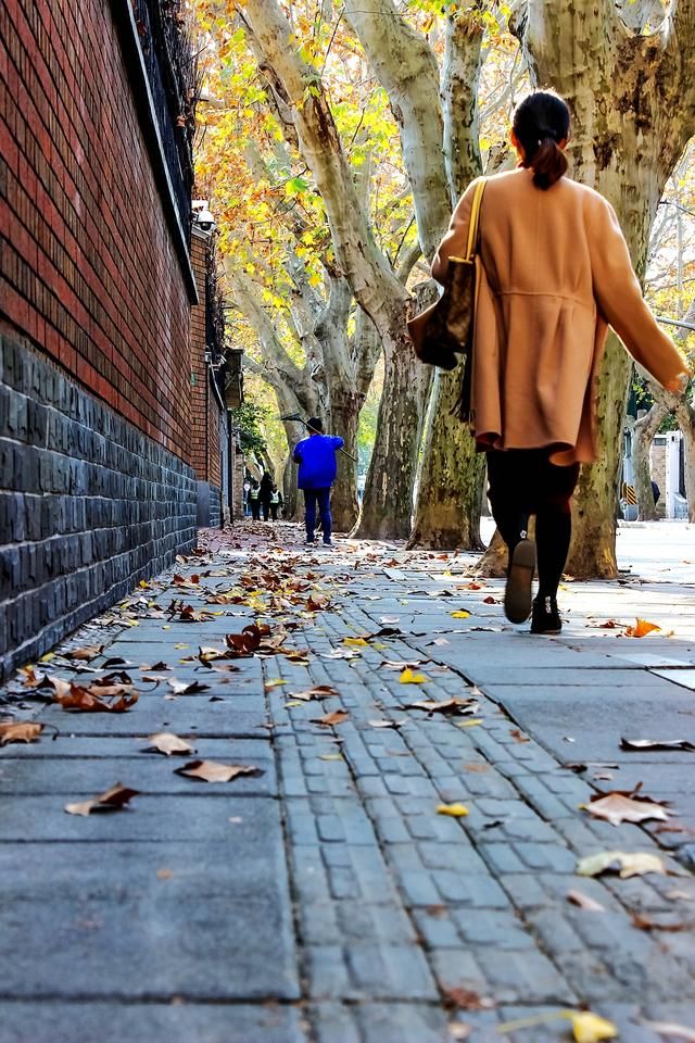 衡山路在哪(衡山路8号项目)