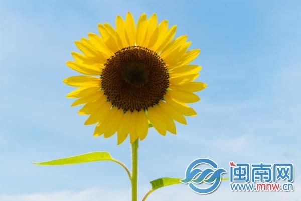 国家公务员考试报名入口找不到(国家公务员考试报名入口官网)