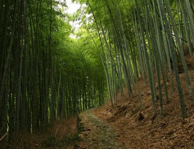 石浦古镇在哪里(石浦古镇历史)