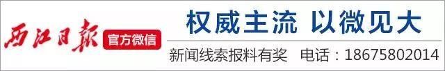 月西江在哪(岳西江学文)