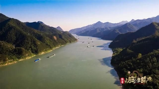 月西江在哪(岳西江学文)
