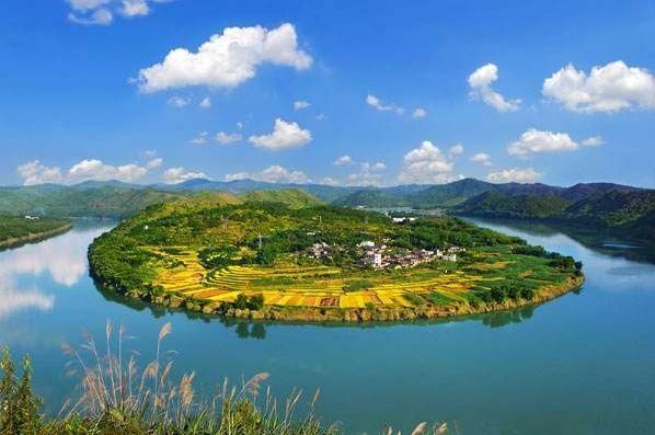 月西江在哪(岳西江学文)