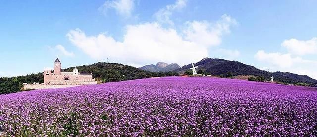 石滩在哪(石滩在哪里打疫苗)