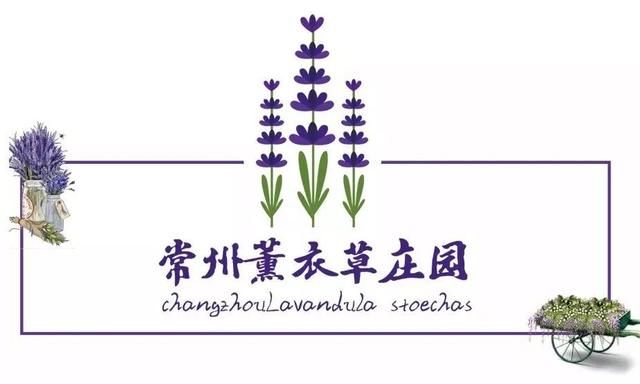 常州熏衣草庄园在哪里(呼市熏衣草庄园在哪里旅游)