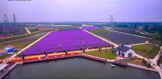 常州熏衣草庄园在哪里(呼市熏衣草庄园在哪里旅游)