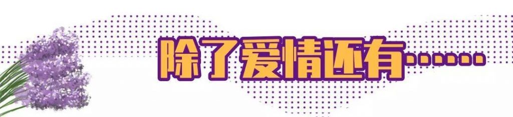 常州熏衣草庄园在哪里(呼市熏衣草庄园在哪里旅游)