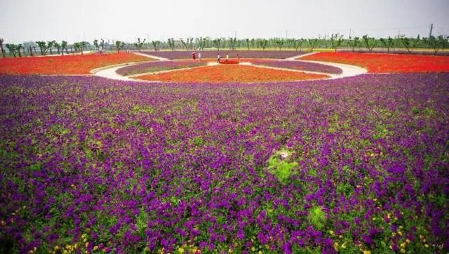 常州熏衣草庄园在哪里(呼市熏衣草庄园在哪里旅游)