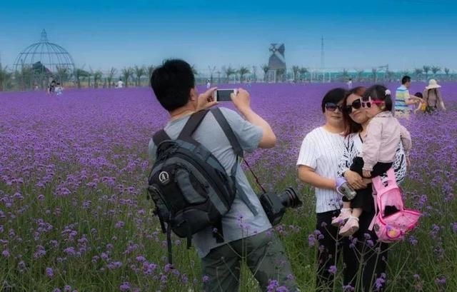 常州熏衣草庄园在哪里(呼市熏衣草庄园在哪里旅游)