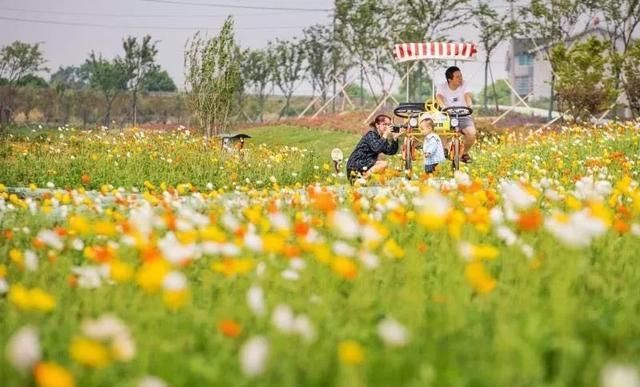 常州熏衣草庄园在哪里(呼市熏衣草庄园在哪里旅游)