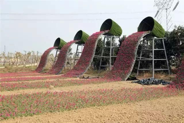 常州熏衣草庄园在哪里(呼市熏衣草庄园在哪里旅游)