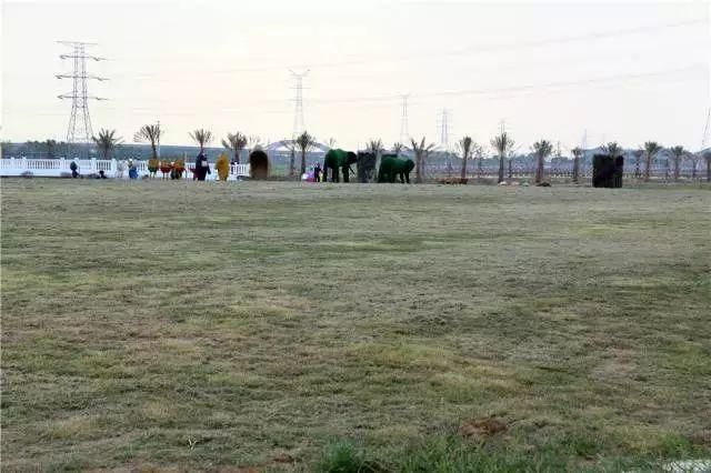 常州熏衣草庄园在哪里(呼市熏衣草庄园在哪里旅游)