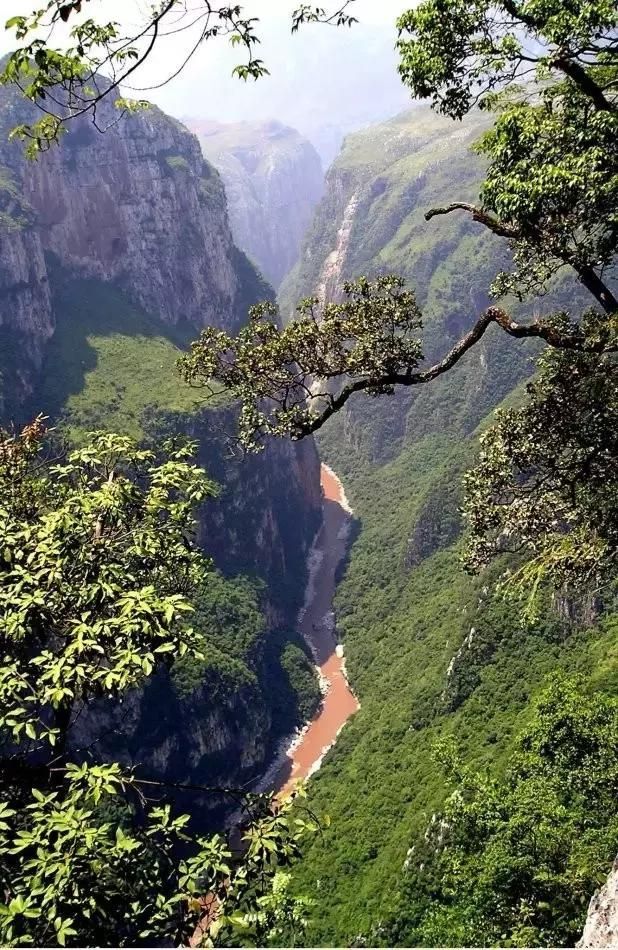 黄平在哪(黄平在哪儿看樱花)