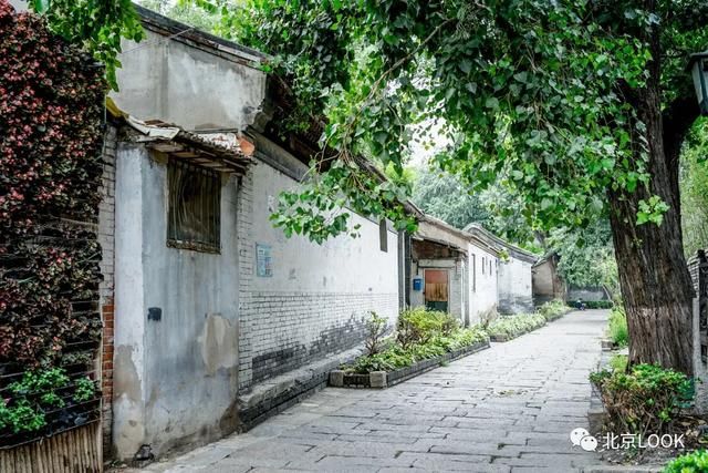 前门三里河公园在哪(前门三里河公园公交)