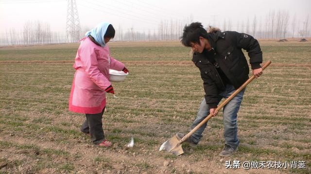 氮肥存在哪里(氮肥来自哪里) 氮肥存在哪里(氮肥来自哪里)