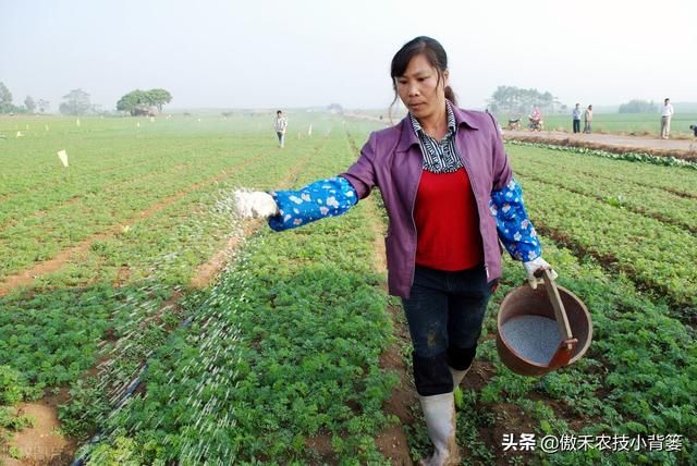 氮肥存在哪里(氮肥来自哪里) 氮肥存在哪里(氮肥来自哪里)