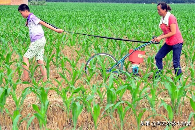 氮肥存在哪里(氮肥来自哪里) 氮肥存在哪里(氮肥来自哪里)