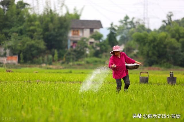 氮肥存在哪里(氮肥来自哪里) 氮肥存在哪里(氮肥来自哪里)