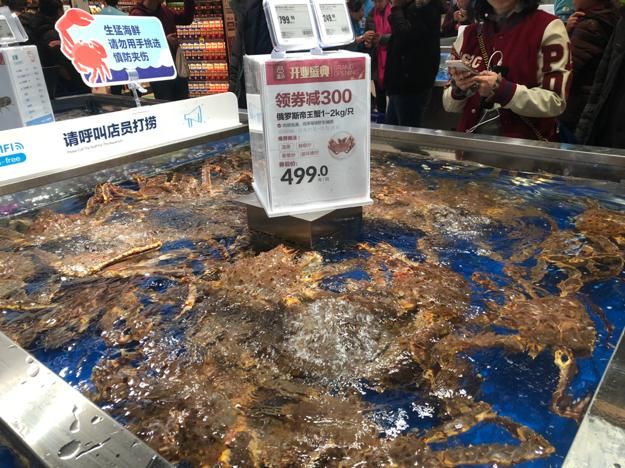 观音桥营业执照在哪里办理(惠州营业执照在哪里办理)